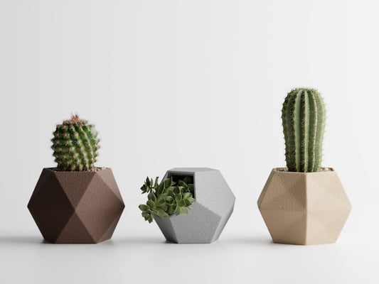 GeoTrio (Set of 3)